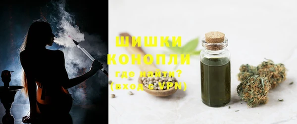 индика Костерёво