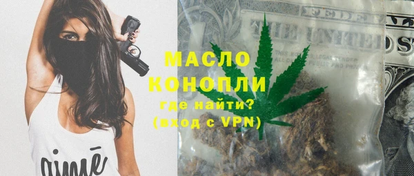 гашик Алексеевка
