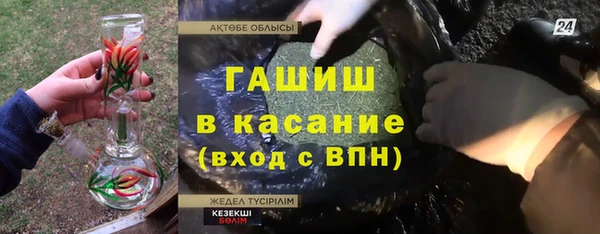 гашик Алексеевка