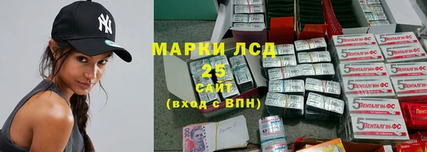 гашик Алексеевка
